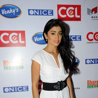 Shriya Saran new pictures | Picture 47214